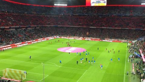 FC BAYERN  vs  FC Schalke 04