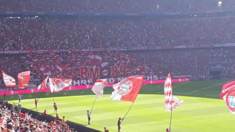 FC BAYERN  vs  1. FC Mainz 05