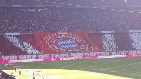 FC BAYERN  vs  1. FC Köln