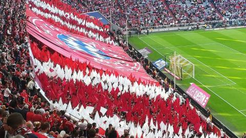 FC BAYERN  vs  1. FC Köln