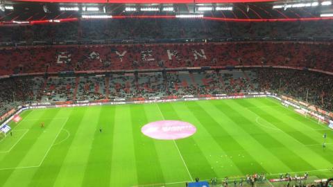 FC BAYERN  vs  SC Paderborn