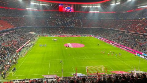 FC BAYERN  vs  1.FC Köln