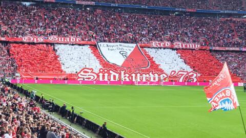 FC BAYERN  vs  Vfl Bochum