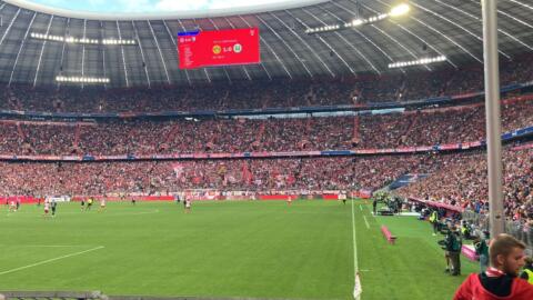 FC BAYERN  vs  Vfl Bochum