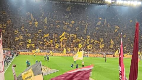 Borussia Dortmund  vs  FC BAYERN