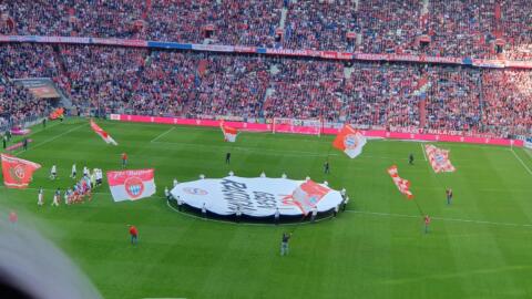 FC BAYERN  vs  1.FSV Mainz 05