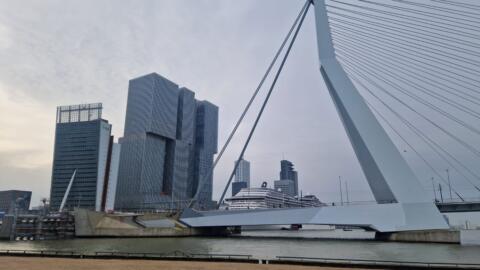 Feyenoord Rotterdam  vs  FC BAYERN