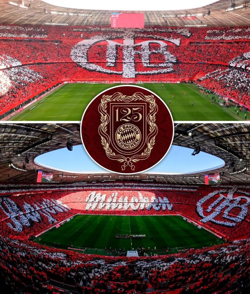 FC BAYERN  vs  VfL Bochum