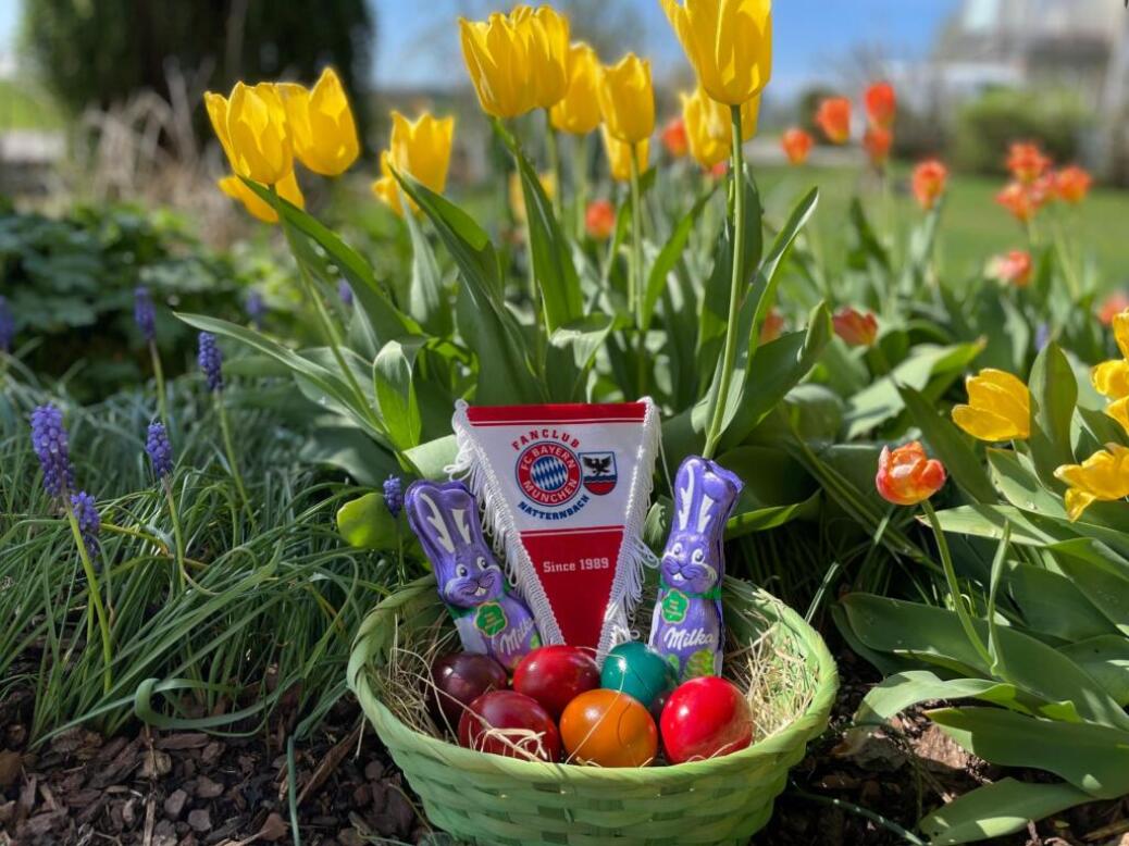 FROHE  OSTERN